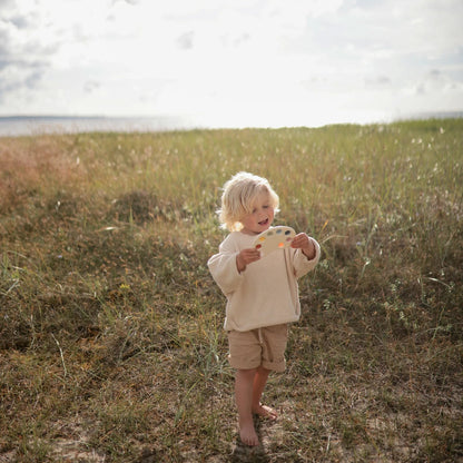 ペイントパレットプレストイ