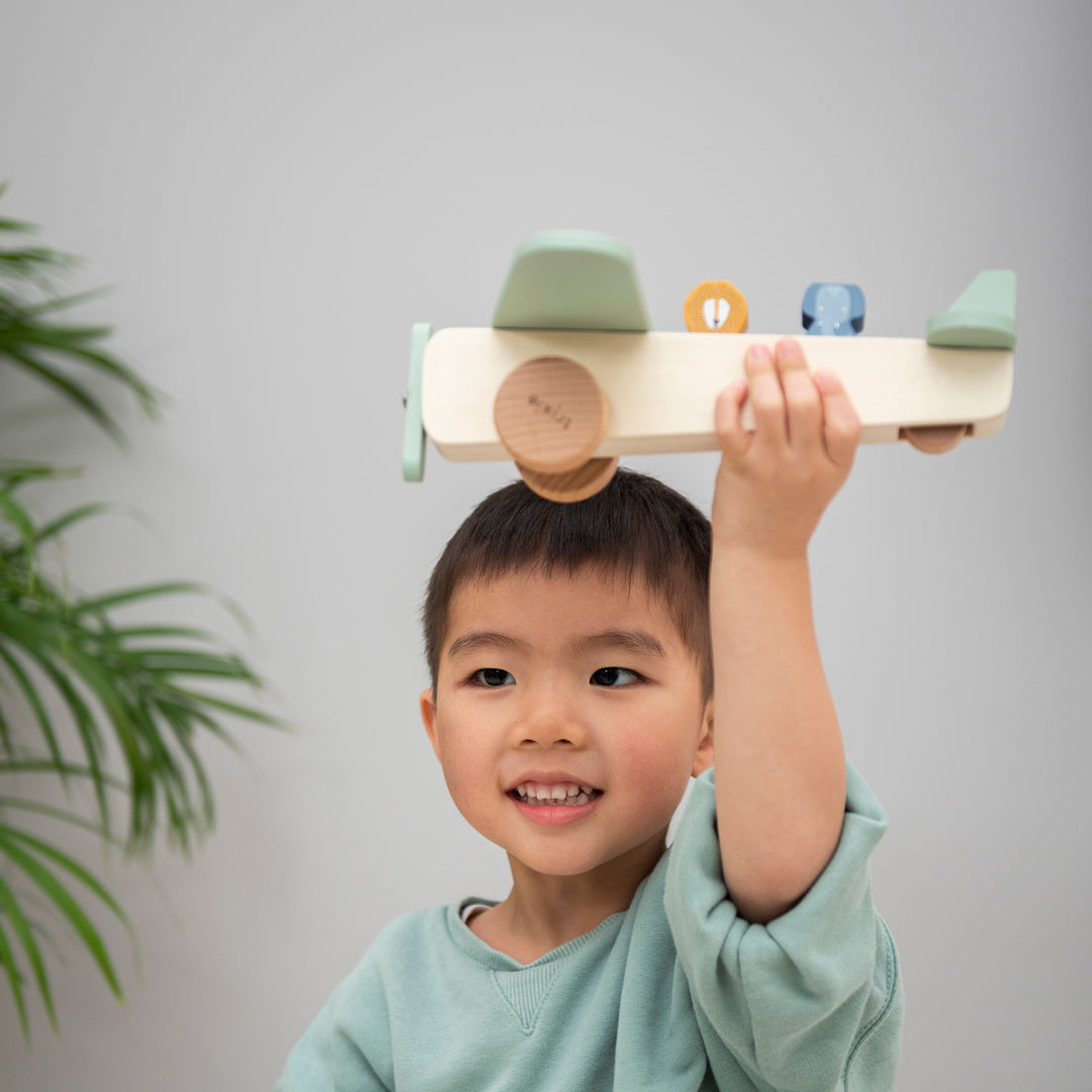 ウッデン アニマル エアプレイン