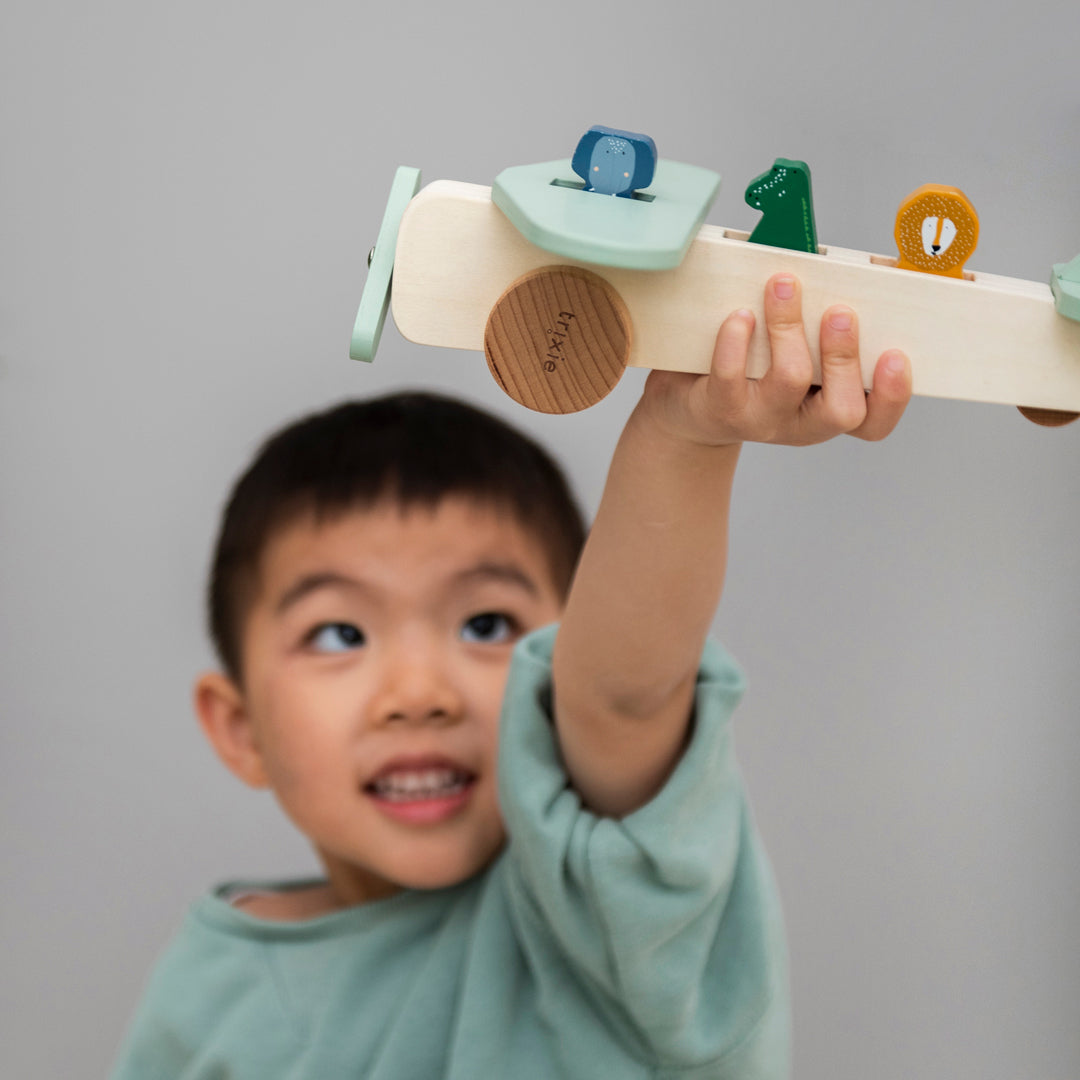 ウッデン アニマル エアプレイン