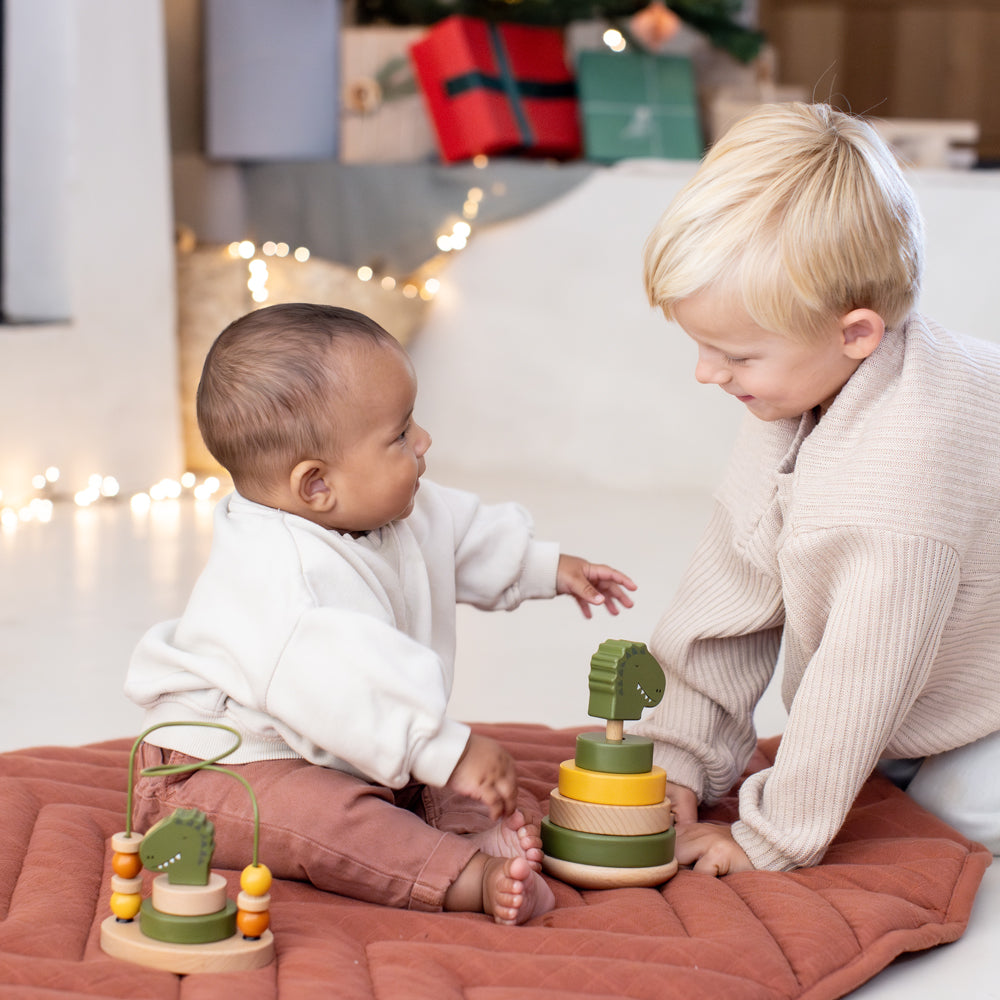 ウッデンビーズメイズ- Mr. Dino