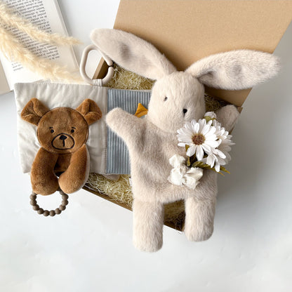 布えほん＆トイセット Rabbit  Set