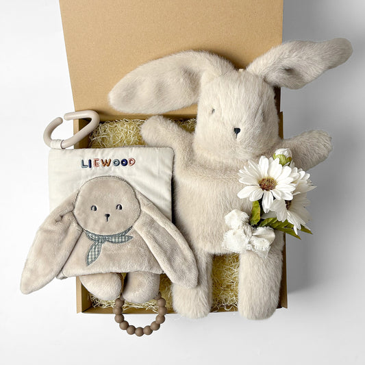 布えほん＆トイセット Rabbit  Set