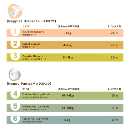 サイズは全部で６サイズ